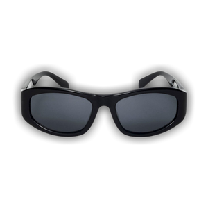 Stussy Landon Sunglasses 'Black/Black Lens'