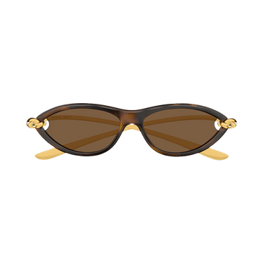 Bottega Veneta Cat Eye Sunglasses 'Shiny Sprayed Medium Havana'