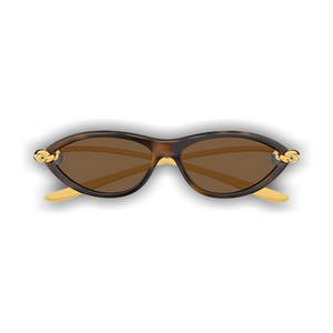 Bottega Veneta Cat Eye Sunglasses 'Shiny Sprayed Medium Havana'