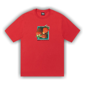 Stussy Berries Tee 'Cayenne'