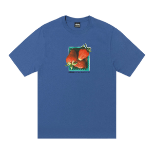 Stussy Berries Tee 'Blue'