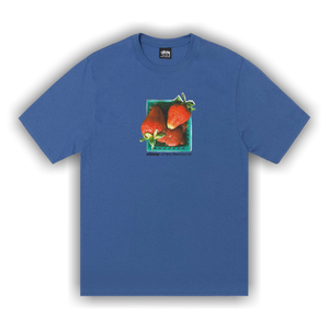 Stussy Berries Tee 'Blue'