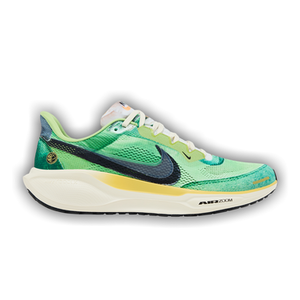 Nike Air Zoom Pegasus 41 'International Running Pack'