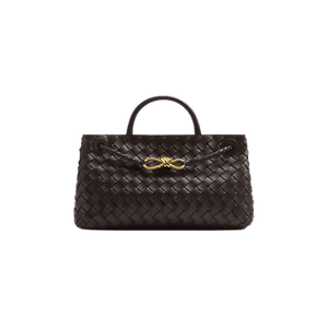Bottega Veneta East-West Andiamo Bag 'Fondant'