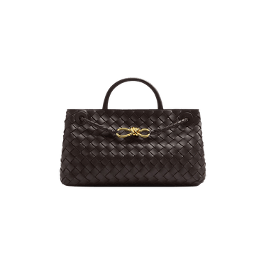 Bottega Veneta East-West Andiamo Bag 'Fondant'
