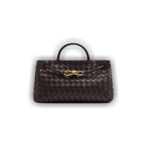Bottega Veneta East-West Andiamo Bag 'Fondant'