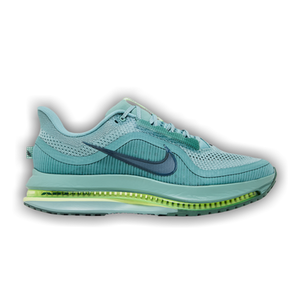 Nike Pegasus Premium 'Cannon'