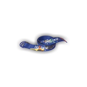Palace Frogger Belt 'Blue/Multicolor'