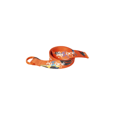 Palace Frogger Belt 'Orange/Multicolor'