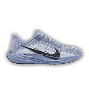 Nike Pegasus Plus 'Ashen Slate'