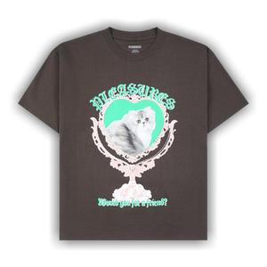 Pleasures Mirror T-Shirt 'Brown'