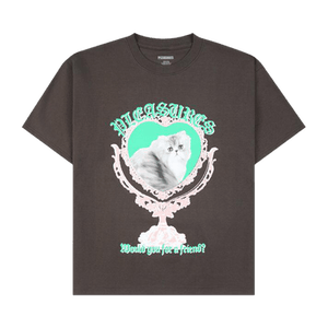 Pleasures Mirror T-Shirt 'Brown'
