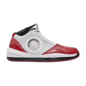 Air Jordan 2010 'Welcome Home'