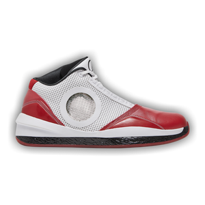 Air Jordan 2010 'Welcome Home'