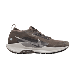 Nike Pegasus Trail 5 GORE-TEX 'Ironstone Velvet Brown'