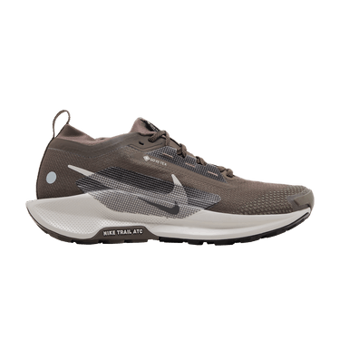 Nike Pegasus Trail 5 GORE-TEX 'Ironstone Velvet Brown'