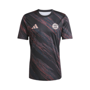 Adidas FC Bayern 25/26 Pre-Match Jersey 'Black'