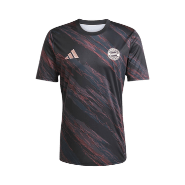 Adidas FC Bayern 25/26 Pre-Match Jersey 'Black'