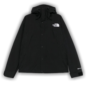 The North Face GTX Mountain Jacket 'TNF Black'