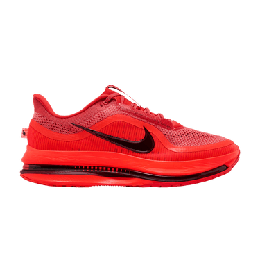 Nike Pegasus Premium 'Light Crimson'
