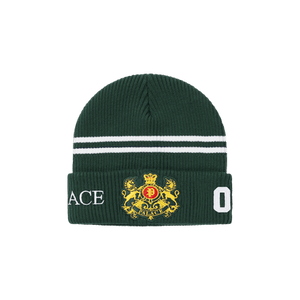 Palace Established Beanie 'Racey Green'