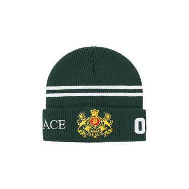 Palace Established Beanie 'Racey Green'