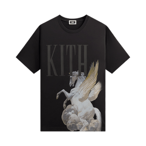 Kith Pegasus Vintage Tee 'Black'