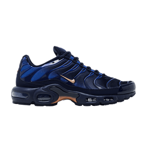 Nike Air Max Plus 'French Football Federation'