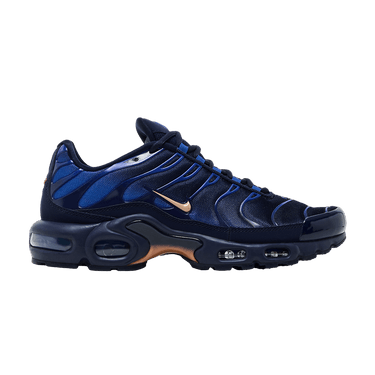 Nike Air Max Plus 'French Football Federation'