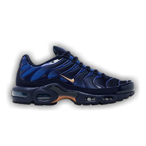 Nike Air Max Plus 'French Football Federation'