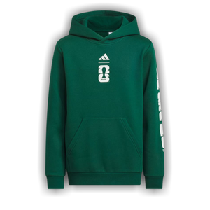 Adidas World Cup 26 Mexico Graphic Hoodie 'Collegiate Green'