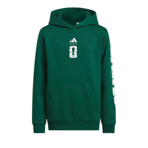 Adidas World Cup 26 Mexico Graphic Hoodie 'Collegiate Green'