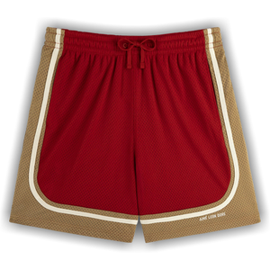 Aimé Leon Dore Colorblock Court Short 'Barbados Cherry'