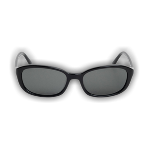 Stussy Eli Sunglasses 'Black/Black Lens'