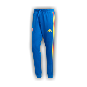 Adidas Colombia Dna Fleece Pants 'Bright Royal'