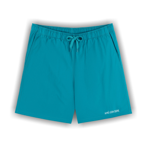 Aimé Leon Dore Logo Swim Short 'Parasailing'