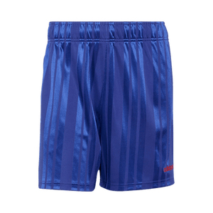 Adidas Japan EQT Shorts 'Active Blue'