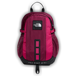 The North Face 12L Hot Shot Mini Pack 'Burgundy Crush/Lali Guran'