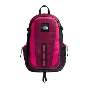 The North Face 30L Hot Shot Se Backpack 'Burgundy Crush/Lali Guran'