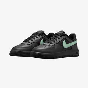 Nike Force 1 Low PS 'Black Anthracite'