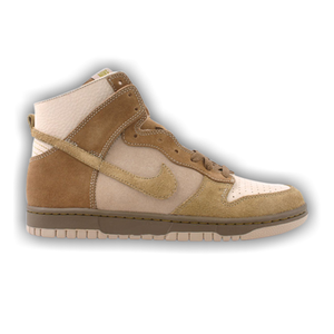 Nike Dunk High NL