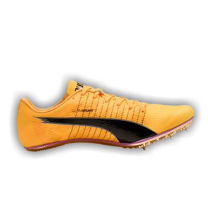 Puma evoSPEED Brush 6 'Sun Stream Pure Magenta'