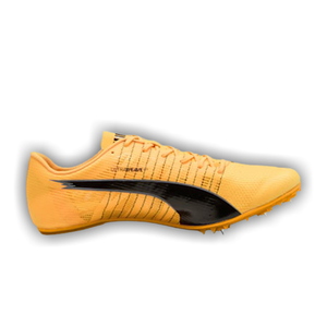 Puma evoSPEED Future 6 'Sun Stream Pure Magenta'
