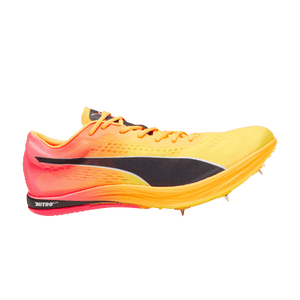 Puma evoSpeed Long Distance 'Sun Stream Sunset Glow'