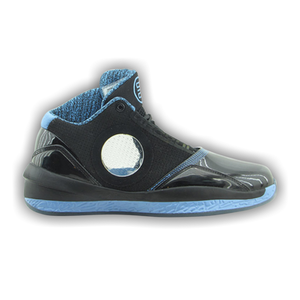 Air Jordan 2010 'Black University Blue'