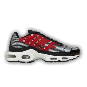 Nike Air Max Plus SE 'Big Logo'
