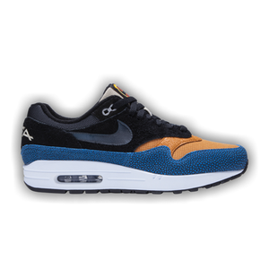 De'Aaron Fox x Nike Air Max 1 'Swipa'