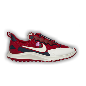 Gyakusou x Nike Air Zoom Pegasus 36 Trail 'Red'