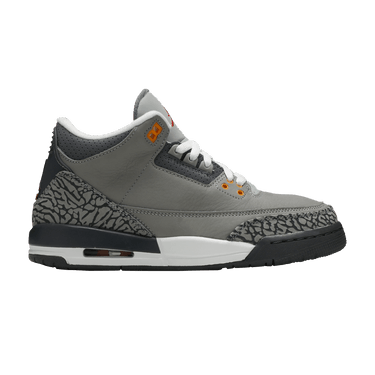 Air Jordan 3 Retro GS 'Cool Grey' 2021