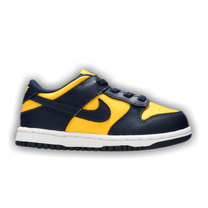 Nike Dunk Low TD 'Michigan' 2021